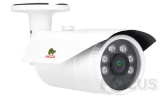 Partizan IPO-VF2LP POE v1.0